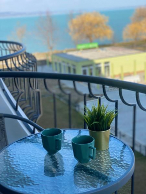Zöld Idő apartman